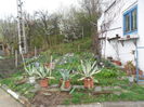 SAM_0339