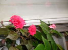 SAM_0345