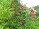 SAM_6522
