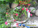 SAM_6941