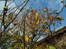 DSCN3771