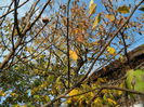 DSCN3772