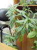 DSCF0282