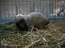 DSCN3678