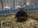 DSCN3679