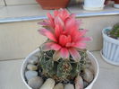 SAM_0069