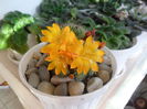 SAM_0180