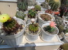 SAM_0406