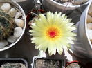 SAM_0482