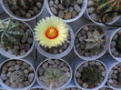 SAM_0495
