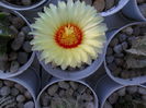 SAM_0496