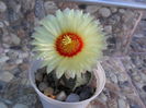 SAM_0501