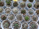 SAM_0502