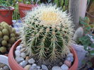 SAM_0506
