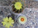SAM_0513