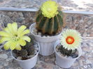 SAM_0514
