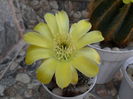 SAM_0516
