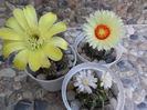 SAM_0517