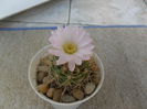 SAM_0589