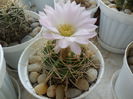 SAM_0590