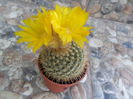 SAM_0644