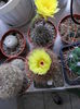 SAM_0695