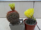 SAM_0697