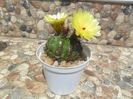 SAM_0707