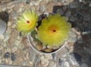SAM_0708