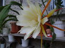 SAM_0713