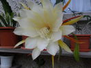 SAM_0714