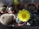 SAM_0716