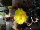 SAM_0717