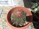 SAM_2783