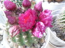 SAM_2832