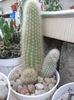 SAM_2840