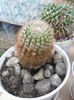 SAM_2843