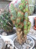 SAM_2857