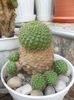 SAM_2858