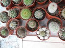 SAM_2870