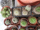 SAM_2871