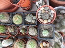 SAM_2872