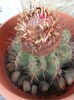 SAM_2873