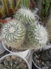SAM_2880