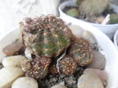 SAM_2945
