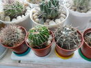 SAM_2953