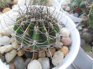 SAM_2958