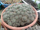 SAM_3081