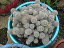 SAM_3086