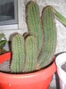 SAM_3340